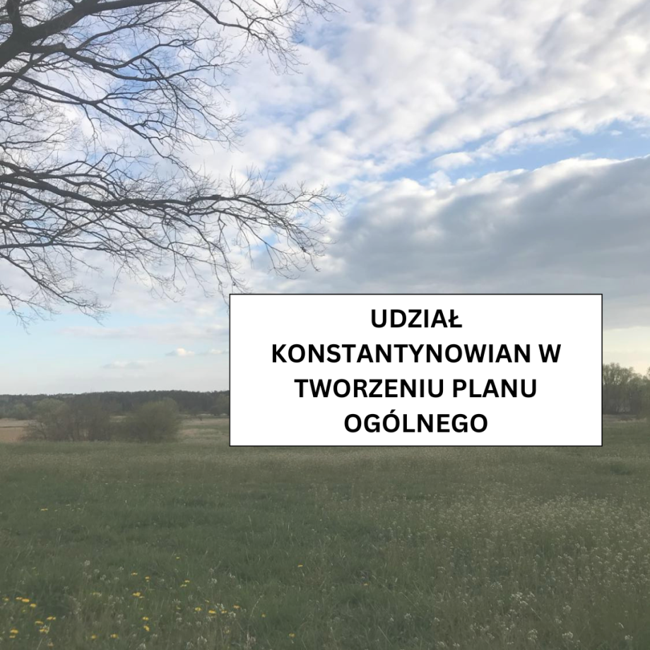 KONSTANTYNOWIANIE_A_UDZIAŁ_W_TWORZENIU_PLANU_OGÓLNEGO.png