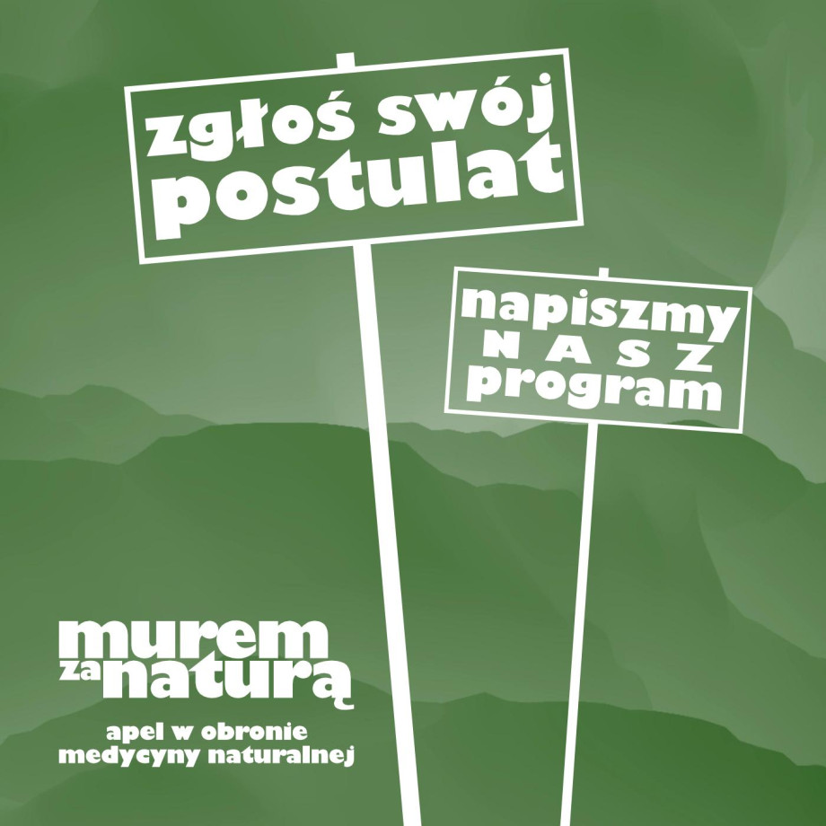 NapiszmyNaszProgram-strona0011.jpg