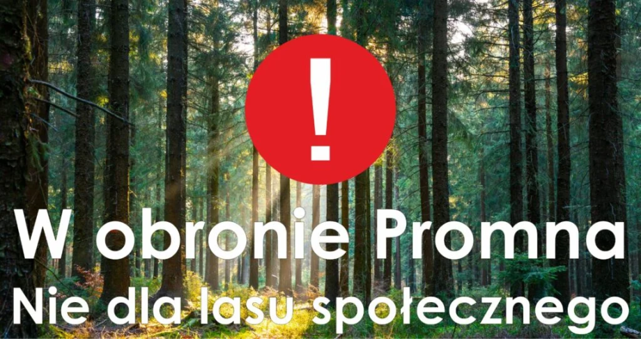 W-obronie-Promna-Nie-dla-lasu-spolecznego-1024x542.png